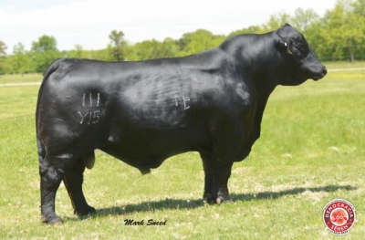 MC TOP GUN 111Y15 RGD R10200901