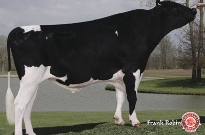 STOUDER JAYVEN - ET RGD 7HO9441