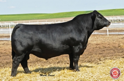 MR NLC UPGRADE U8676  RGD 2474338