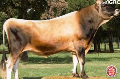 MAGNIFICENT CANYON SEX FEMEA