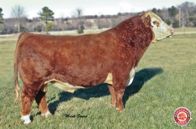 MSU XEROX 20 X RGS IA 583